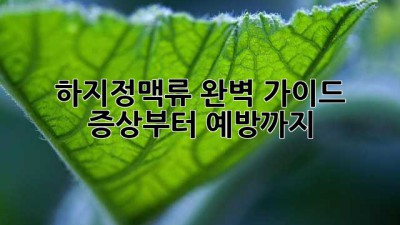 하지정맥류 완벽 가이드: 증상부터 예방까지