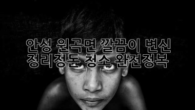 ✨ 안성 원곡면 깔끔이 변신! 정리정돈 청소 완전정복 🏡