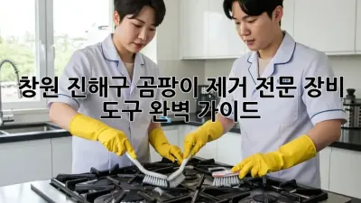창원 진해구 곰팡이 제거 전문: 장비 & 도구 완벽 가이드