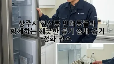 상주시 헌신동 반려동물과 함께하는 깨끗한 공기, 실내 공기 정화 청소